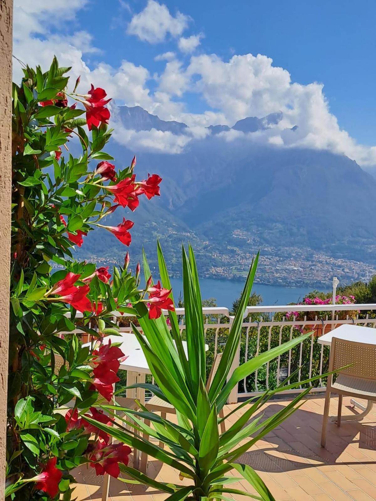 Bed & Breakfast Bellagio Extérieur photo